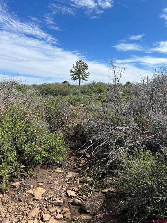 30 County Road C-3 Dove Creek, CO 81324
