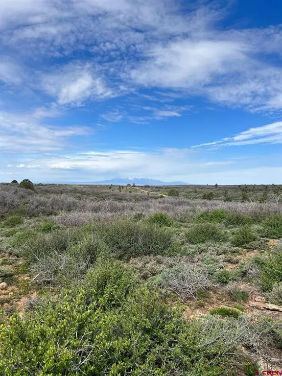 30 County Road C-3 Dove Creek, CO 81324