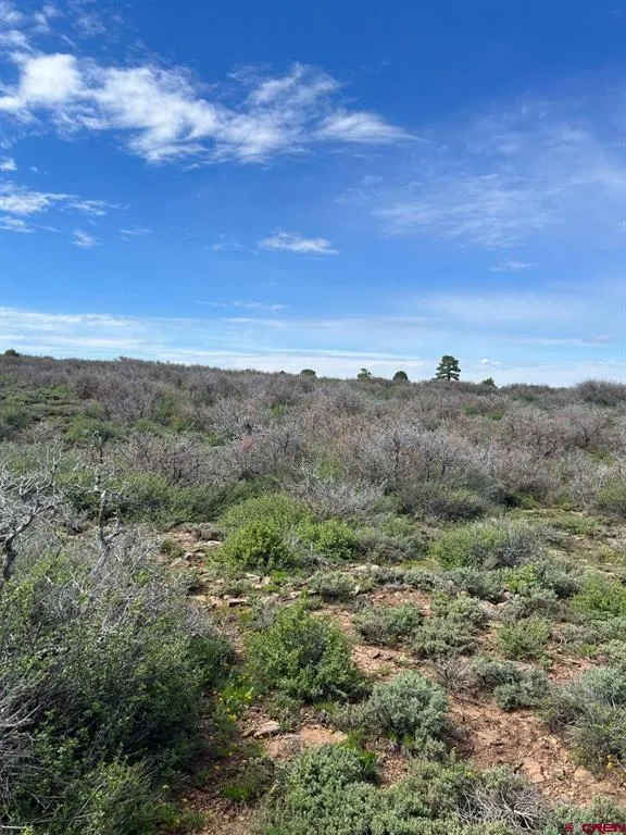 30 County Road C-3 Dove Creek, CO 81324