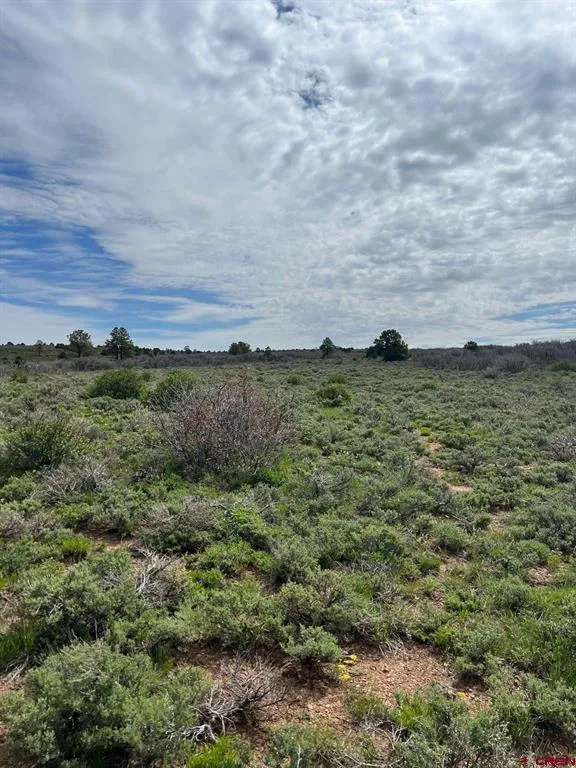 30 County Road C-3 Dove Creek, CO 81324