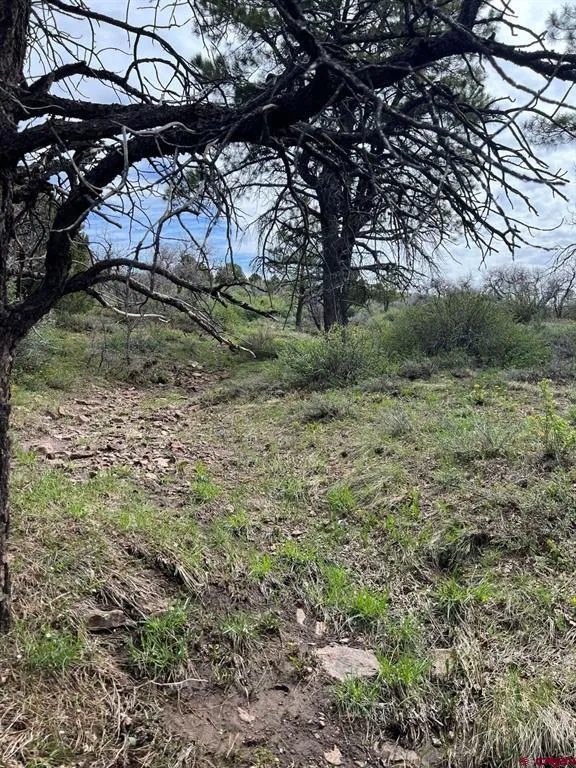 30 County Road C-3 Dove Creek, CO 81324