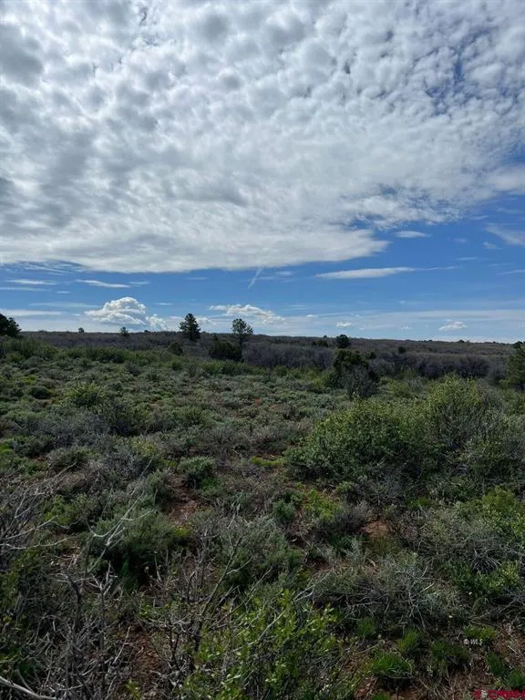 30 County Road C-3 Dove Creek, CO 81324