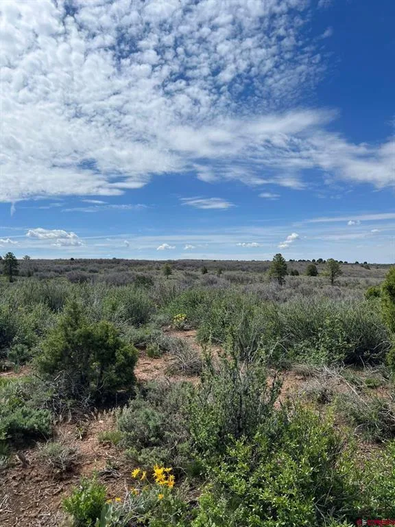 30 County Road C-3 Dove Creek, CO 81324
