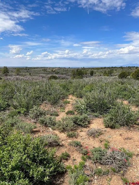 30 County Road C-3 Dove Creek, CO 81324