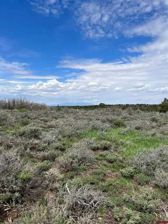 30 County Road C-3 Dove Creek, CO 81324