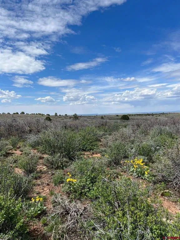 30 County Road C-3 Dove Creek, CO 81324