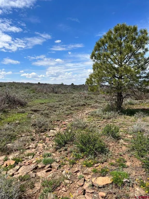30 County Road C-3 Dove Creek, CO 81324