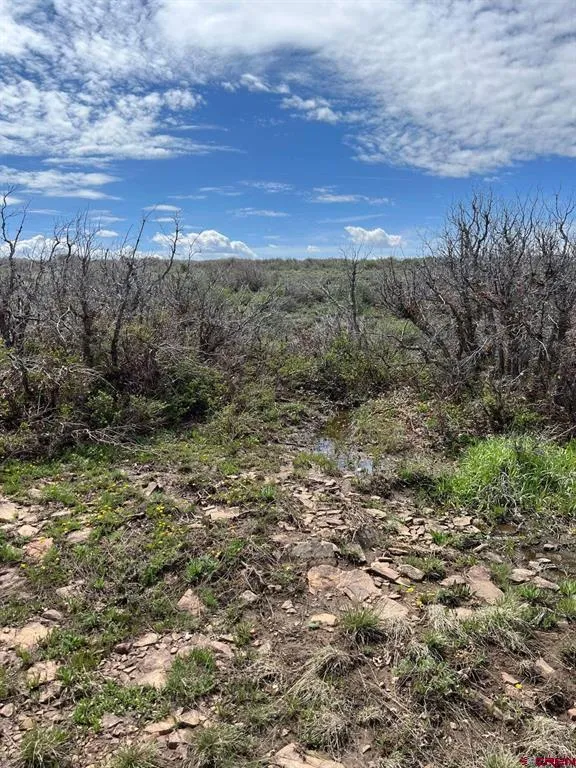 30 County Road C-3 Dove Creek, CO 81324