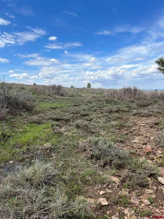 30 County Road C-3 Dove Creek, CO 81324