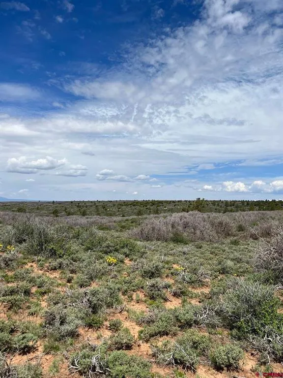 30 County Road C-3 Dove Creek, CO 81324