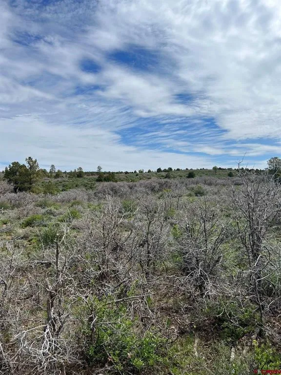 30 County Road C-3 Dove Creek, CO 81324