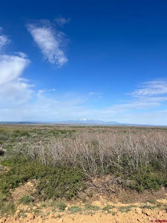 30 County Road C-3 Dove Creek, CO 81324