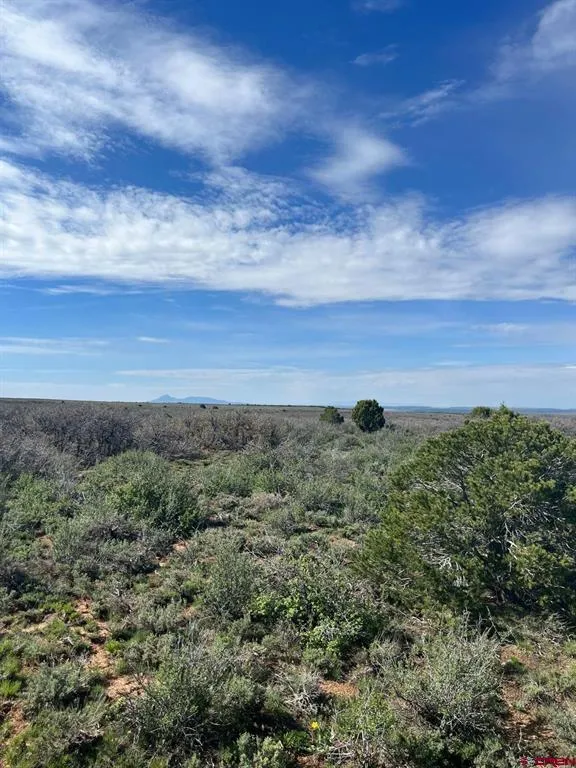 30 County Road C-3 Dove Creek, CO 81324