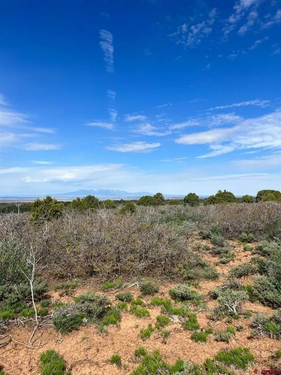 30 County Road C-3 Dove Creek, CO 81324