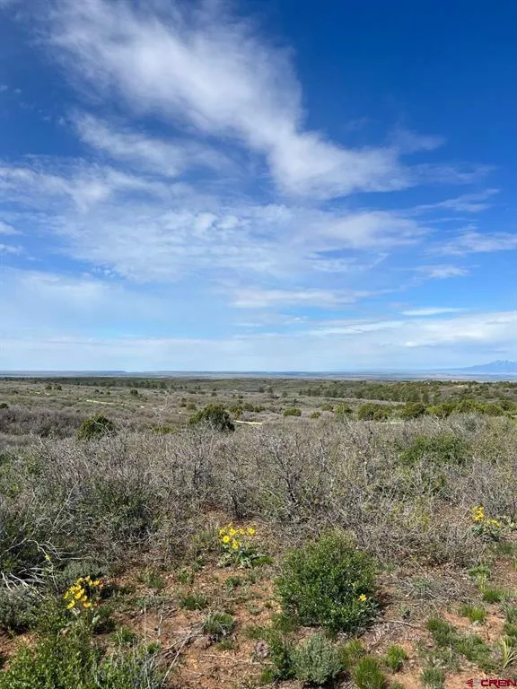 30 County Road C-3 Dove Creek, CO 81324