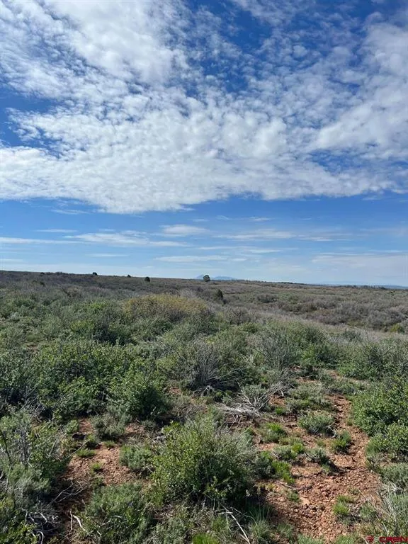 30 County Road C-3 Dove Creek, CO 81324