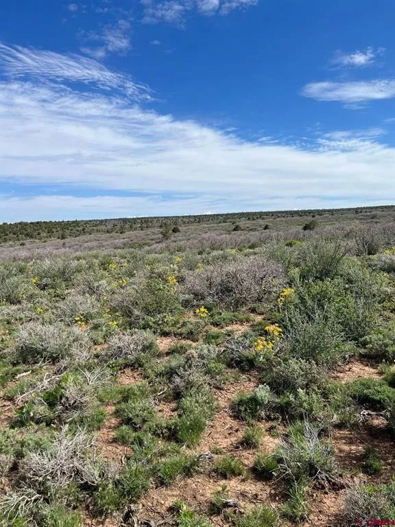30 County Road C-3 Dove Creek, CO 81324