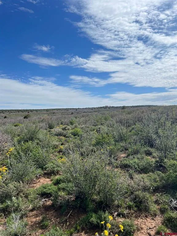 30 County Road C-3 Dove Creek, CO 81324