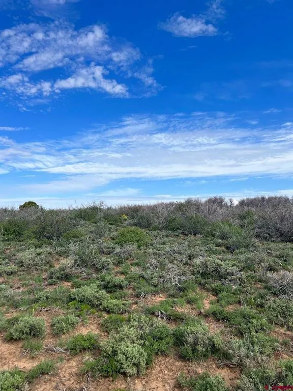 30 County Road C-3 Dove Creek, CO 81324