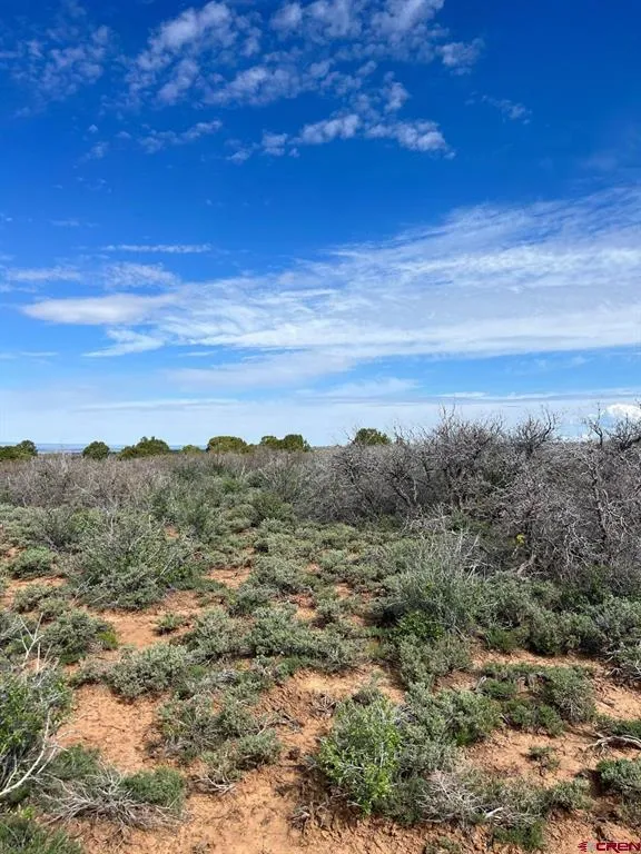 30 County Road C-3 Dove Creek, CO 81324