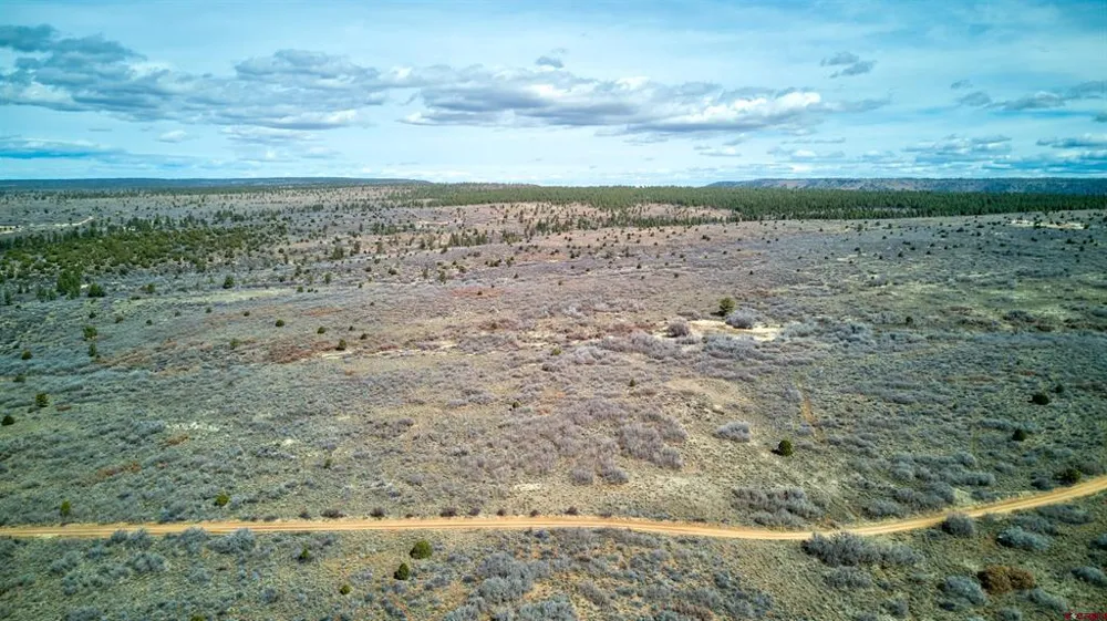 30 County Road C-3 Dove Creek, CO 81324