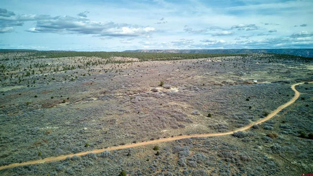 30 County Road C-3 Dove Creek, CO 81324
