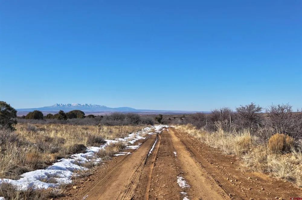 30 County Road C-3 Dove Creek, CO 81324