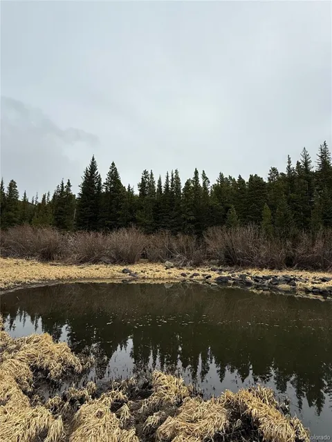 91 Lake Road