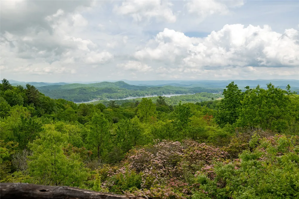 865 Toxaway Drive Lake Toxaway, NC 28747