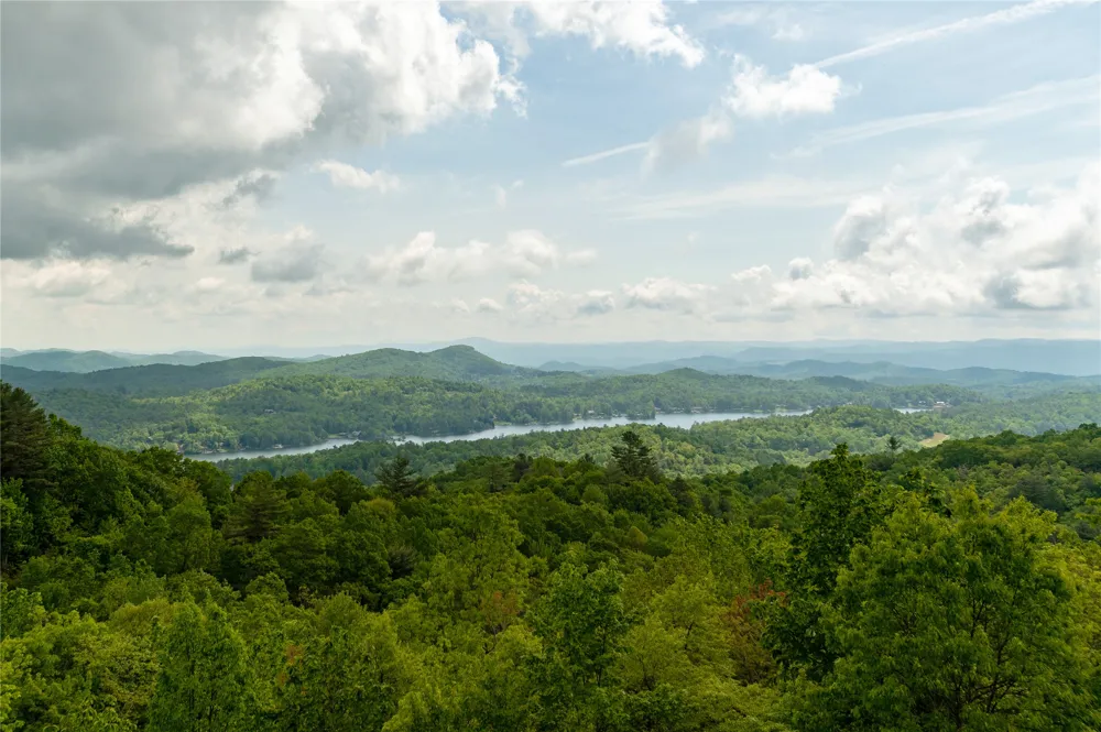 865 Toxaway Drive Lake Toxaway, NC 28747