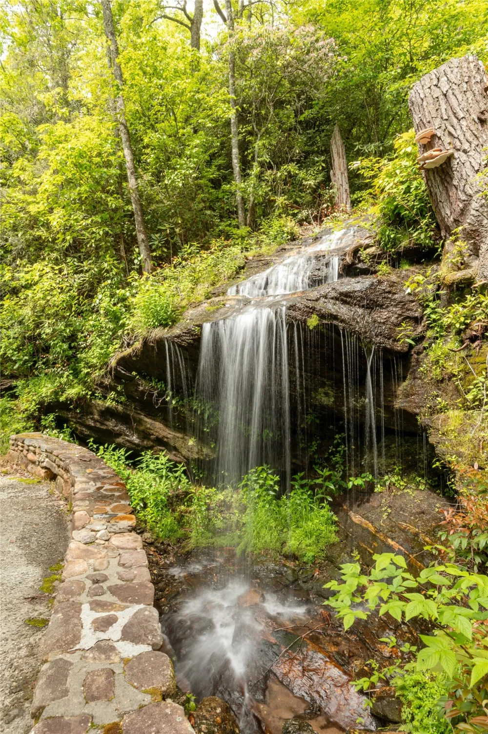 865 Toxaway Drive Lake Toxaway, NC 28747
