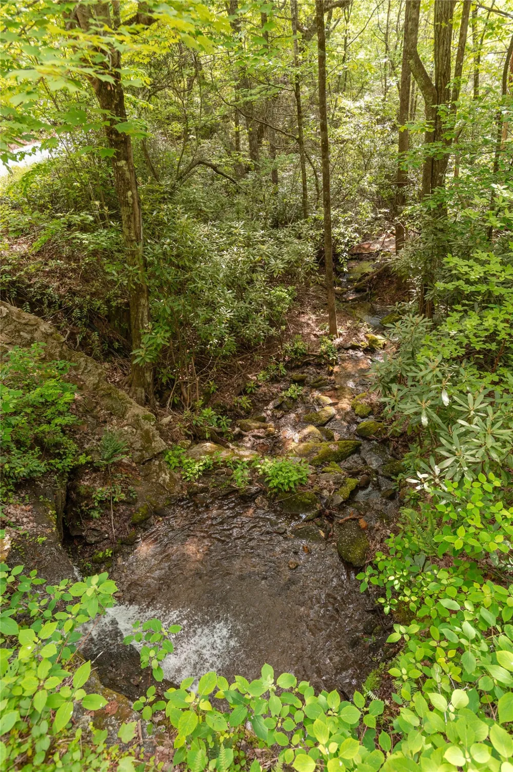 865 Toxaway Drive Lake Toxaway, NC 28747
