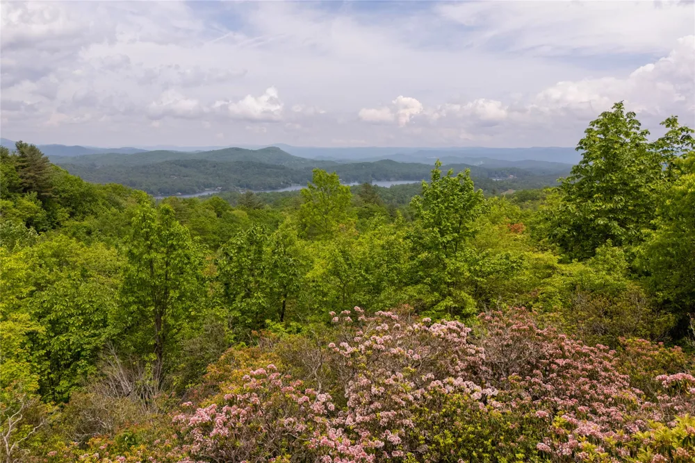 865 Toxaway Drive Lake Toxaway, NC 28747