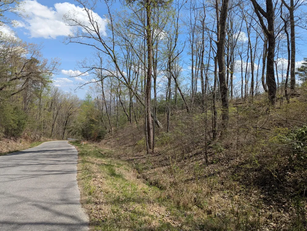 10 Escape Drive Evensville, TN 37332