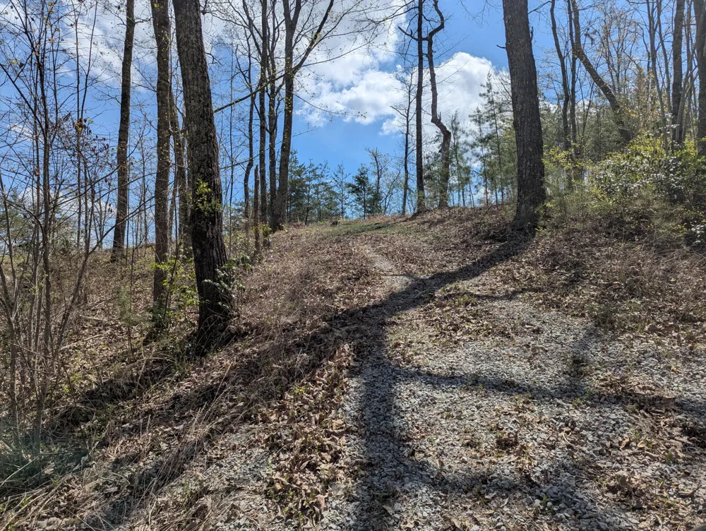 10 Escape Drive Evensville, TN 37332