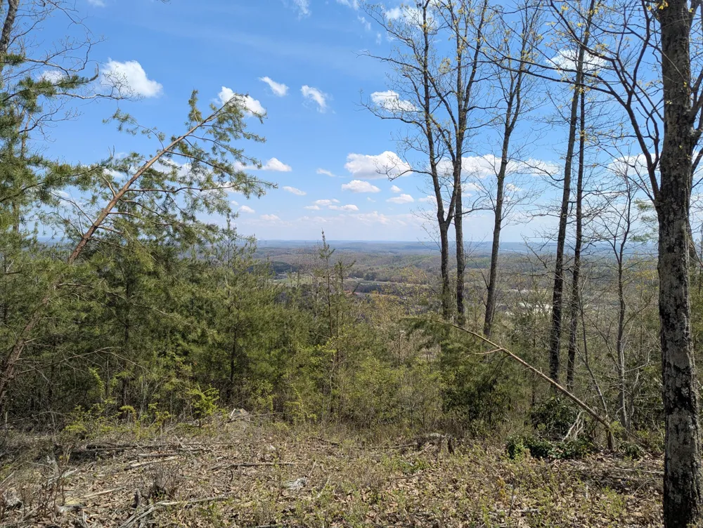10 Escape Drive Evensville, TN 37332