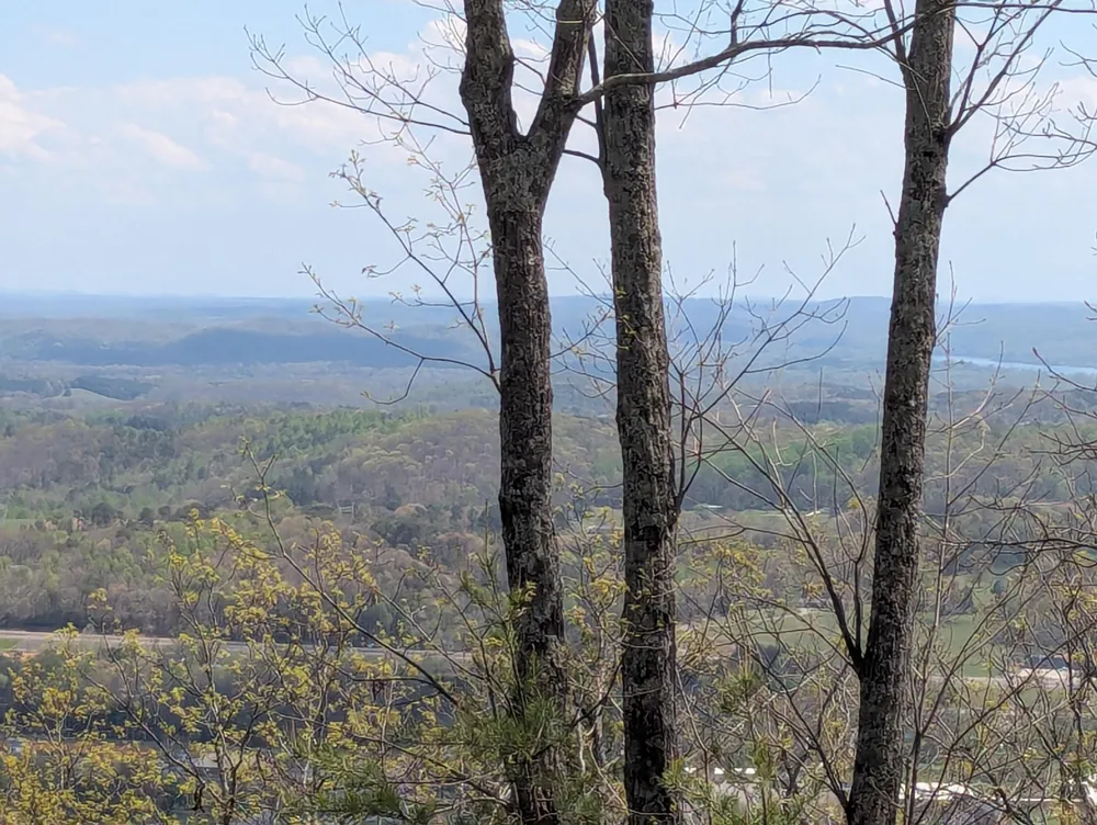 10 Escape Drive Evensville, TN 37332