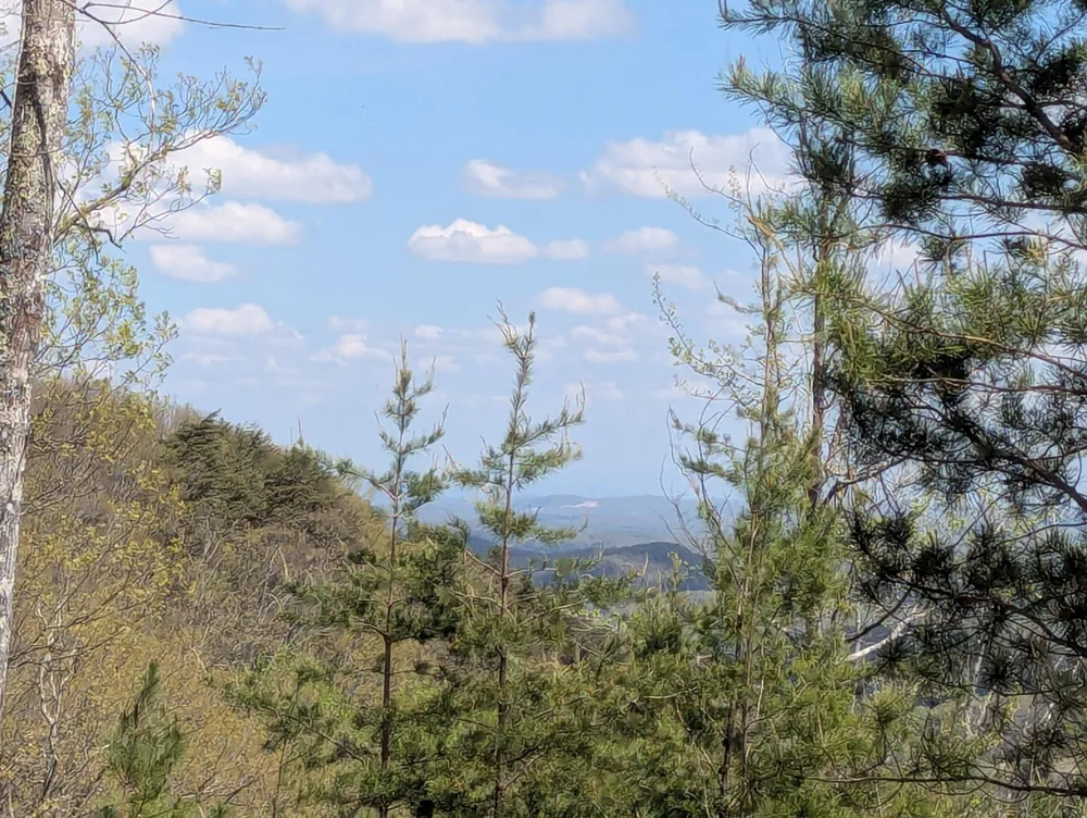 10 Escape Drive Evensville, TN 37332