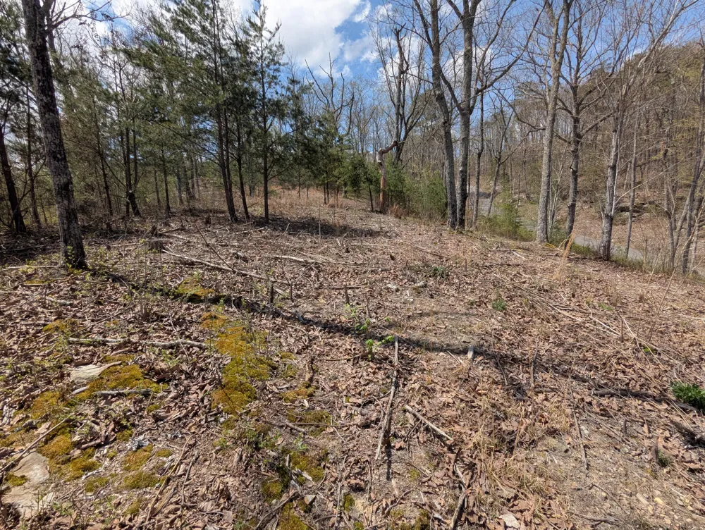10 Escape Drive Evensville, TN 37332