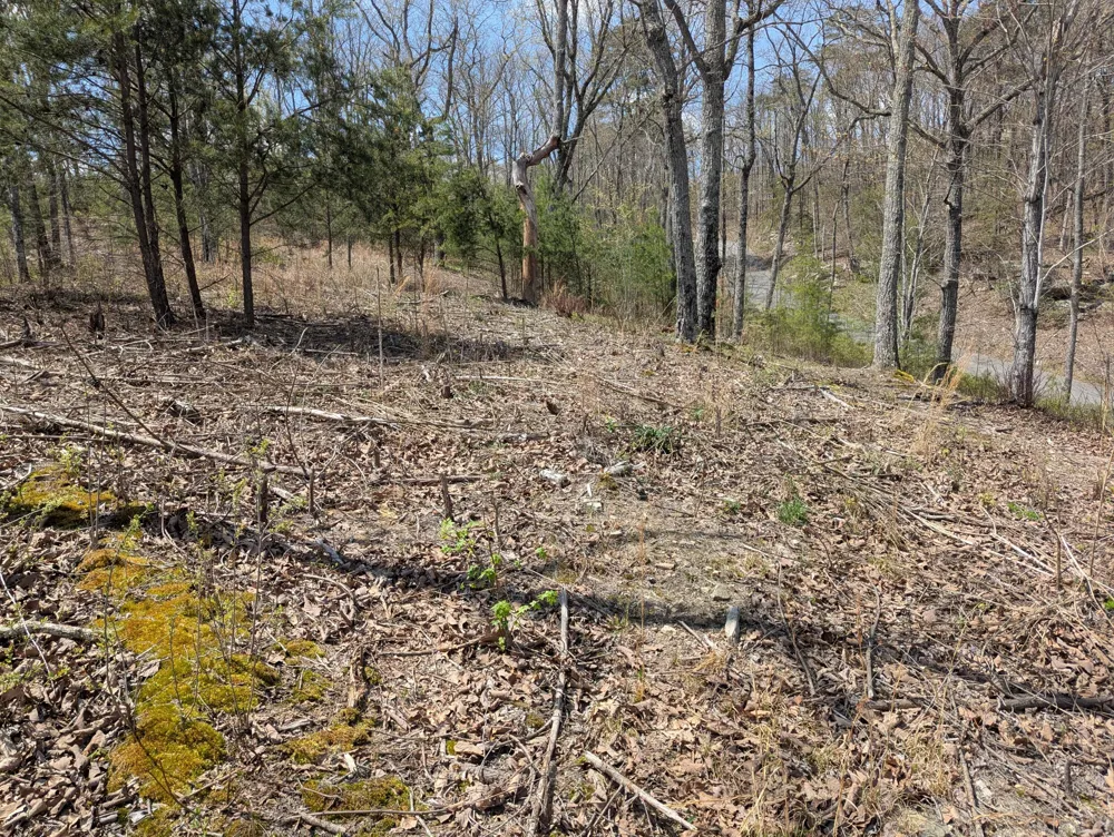 10 Escape Drive Evensville, TN 37332