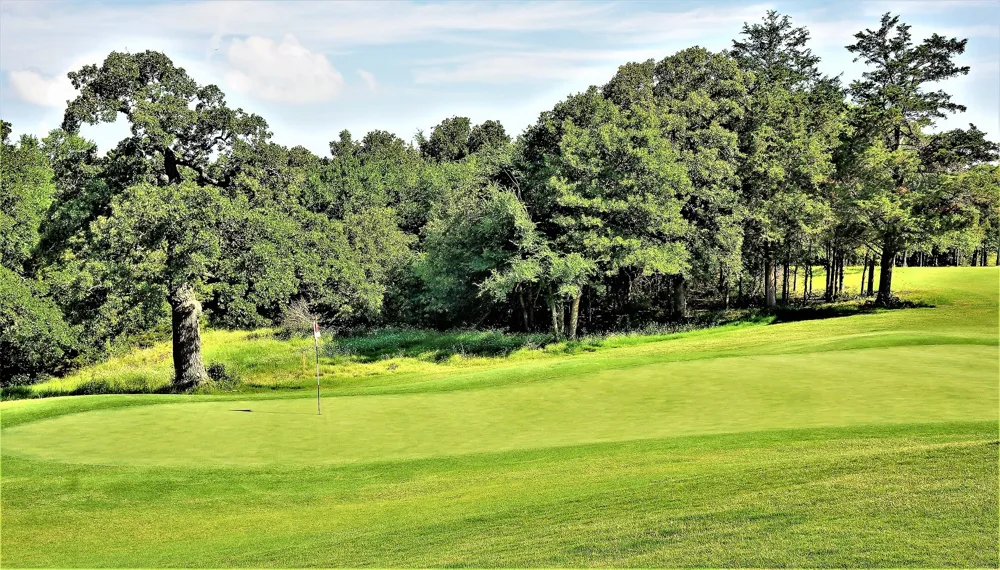 Turtle Point Lane Gordonville, TX 76245