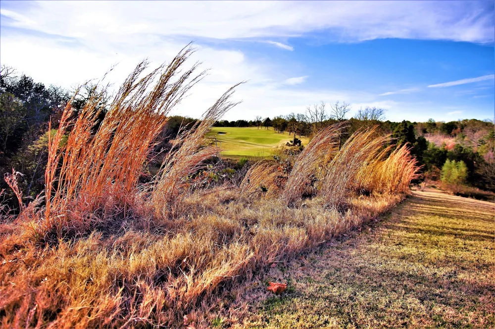 Turtle Point Lane Gordonville, TX 76245
