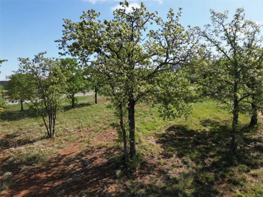 101 Overlook Drive Cisco, TX 76437