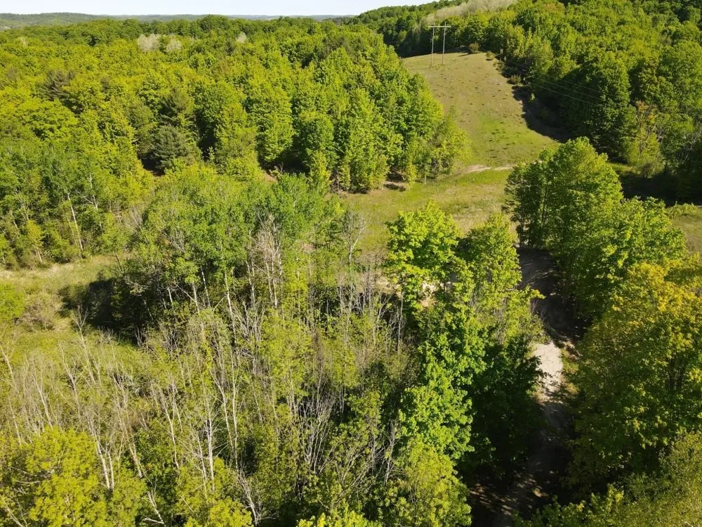 Pesek Road South Arm Township, MI 49727