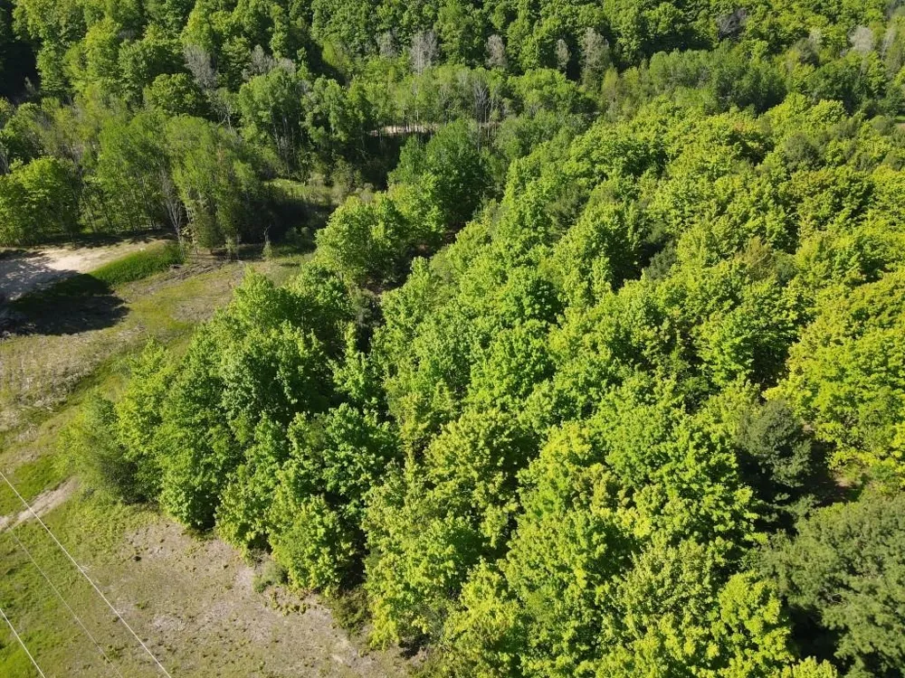 Pesek Road South Arm Township, MI 49727