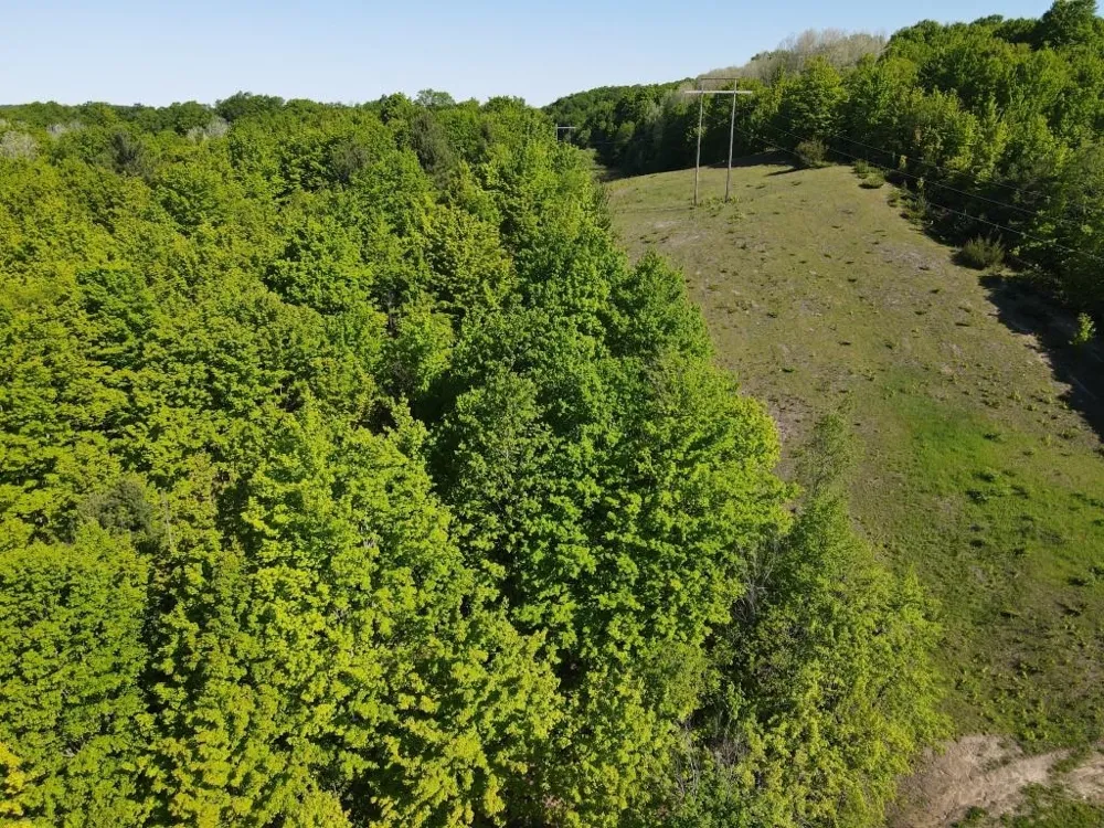 Pesek Road South Arm Township, MI 49727