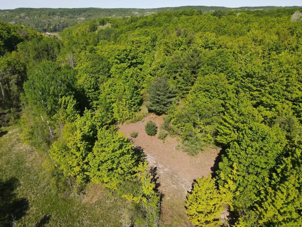 Pesek Road South Arm Township, MI 49727
