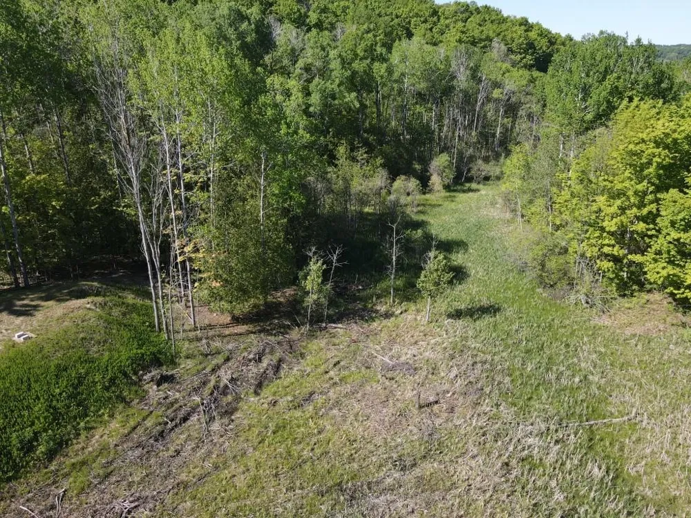 Pesek Road South Arm Township, MI 49727