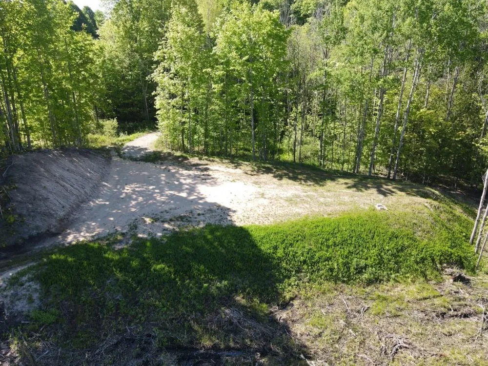Pesek Road South Arm Township, MI 49727