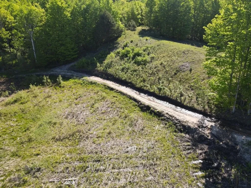 Pesek Road South Arm Township, MI 49727